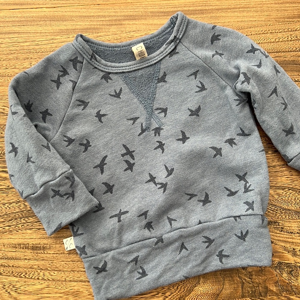 Childhoods Clothing Pullover Crew in Birds on Steel Blue